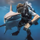 Shark lover Canvas