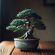 Bonsai