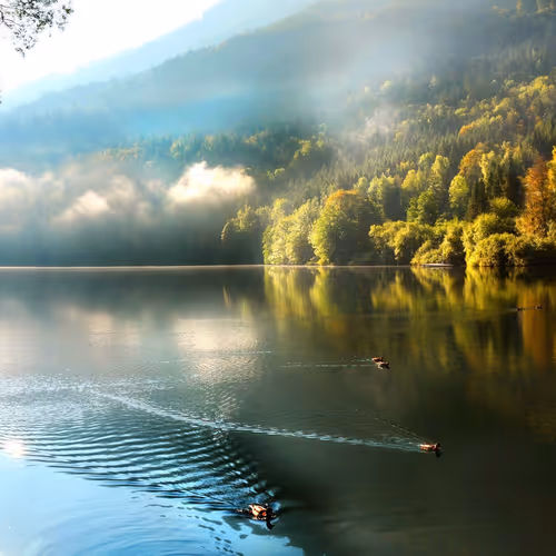 Water)