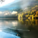 Water)