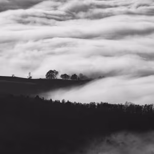 Succeed Possibilities