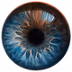 Eyes ZORBS