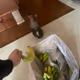 Monkey with banana