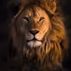 lion