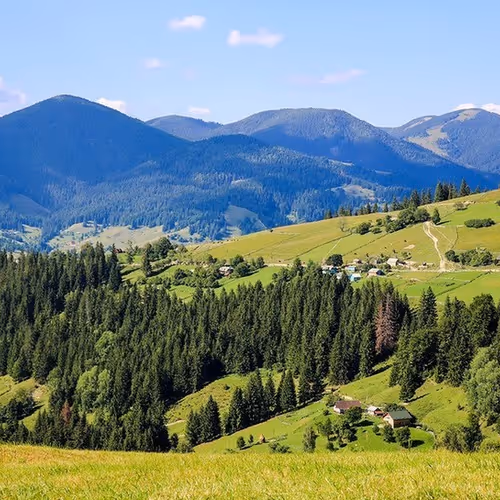 Imagine Carpathians