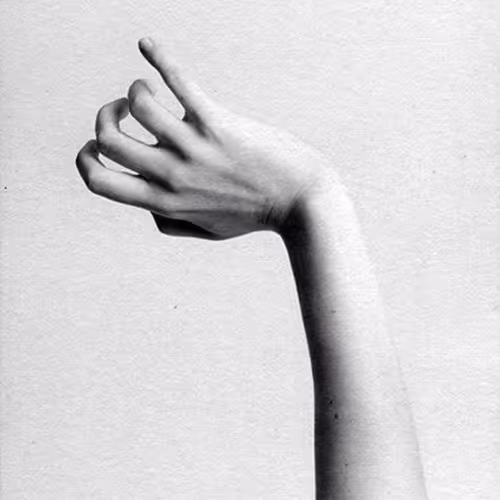 Anatomy on the Internet