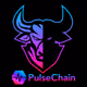 PulseChain Collection