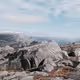 Stone