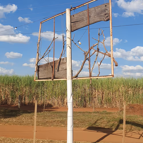 rogerin's photograph