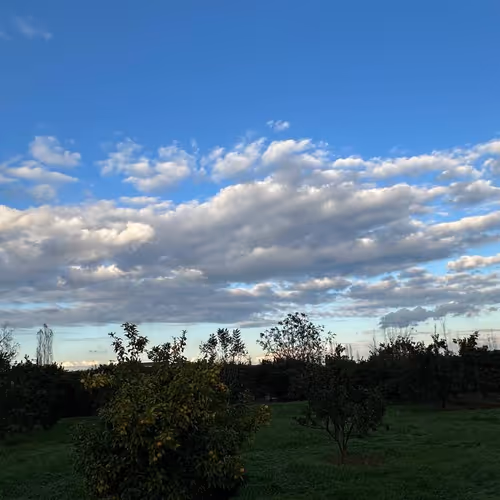 clouds dance