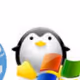 Pretty Penguin
