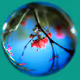 Orb
