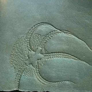 Zora Posts