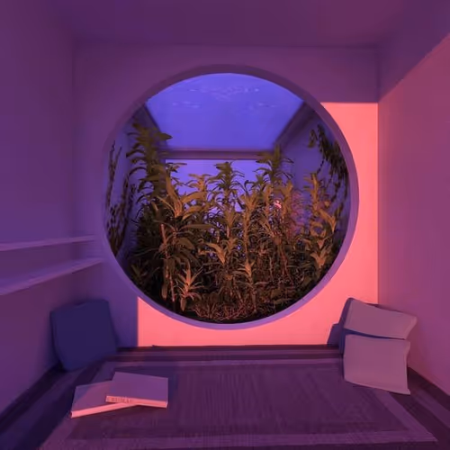 Echoes+-