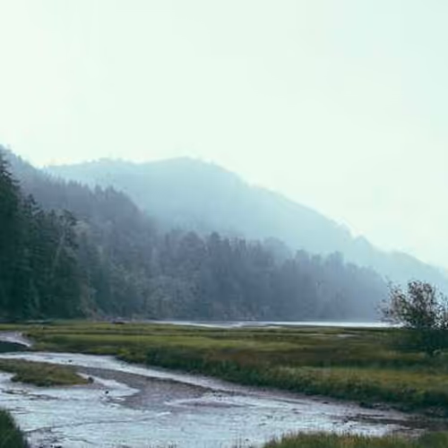 Flexible Toronto Extraordinary