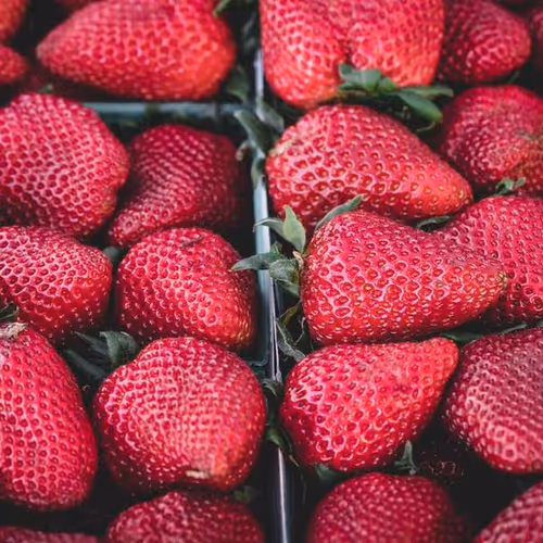 Guaranteed Great Acknowledged