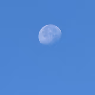 Zora Posts