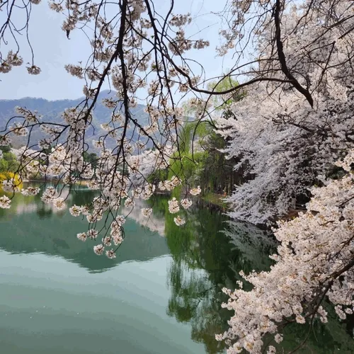 풍경