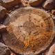 treasure map