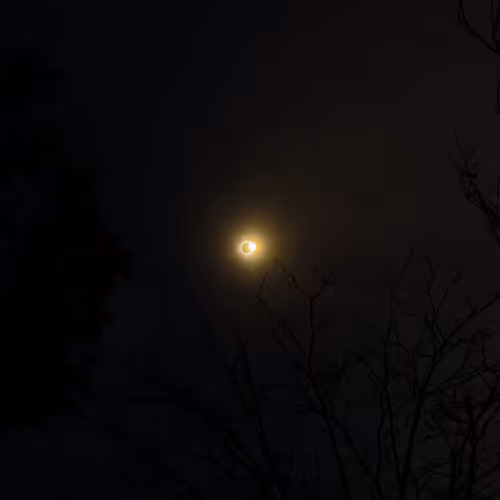 0xbef195eb5cbd6a3f1f39459f7583933e1f81c0ff