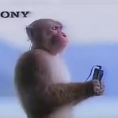 SONY