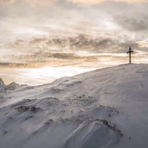 Conspiracy Defense Fisheries