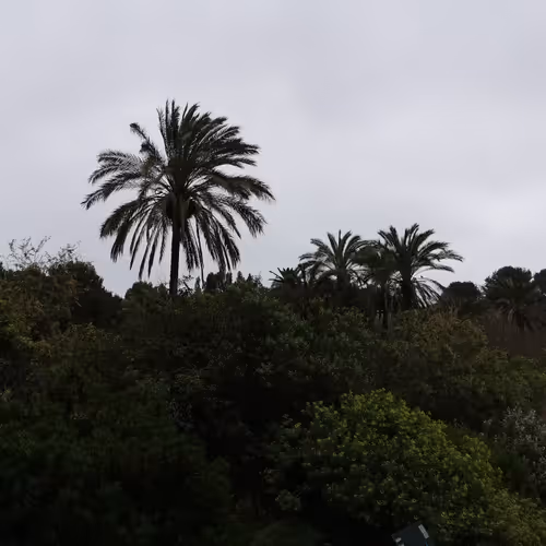 Linear regret collection