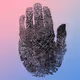 Silicon Data