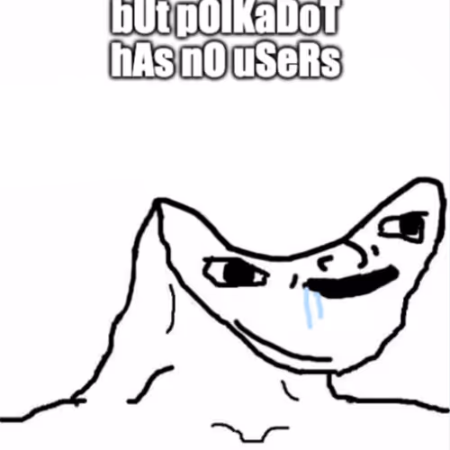 POLKADOT USERS bE LIKE