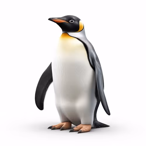 Pinguins