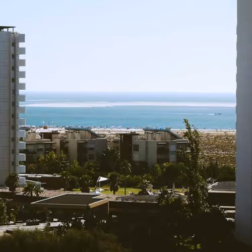 Pdf Tiger Revolutionary