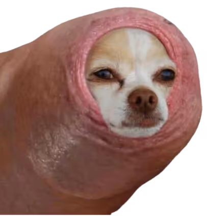 Hotdog