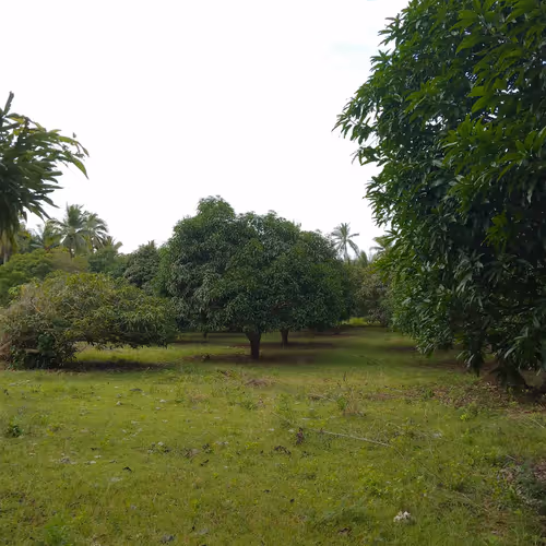 Farm
