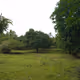 Farm