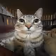 CAtto