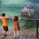 HIPPOS