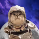 Moon Cat