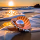 Shells