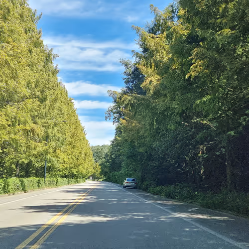 beautiful road