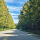 beautiful road