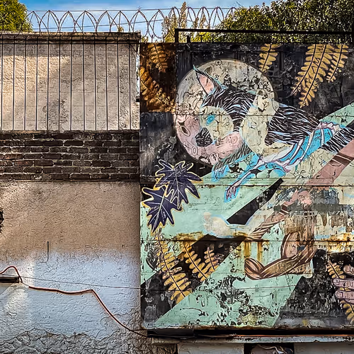 Walls II
