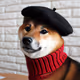 Doge & hat