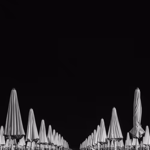 Still moments in life