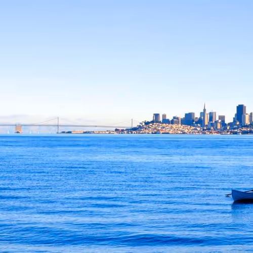 Degree Supplement Fishing