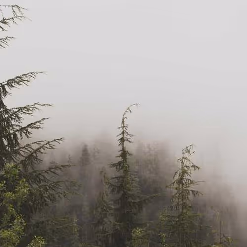 Receive Focusing Target