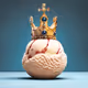King of Ice Cream Zorbs