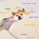 DogeZora