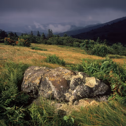 0xfc6f78c5831f25bdbe5ae13dcaea74a36d3db42f