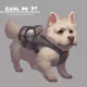 Going Pet