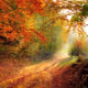 road